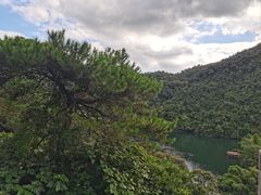 -鼎湖山风景区