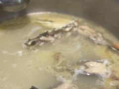 -港升鱼师傅·中山脆肉鲩