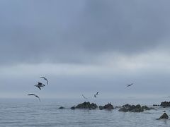 -银沙滩浴场