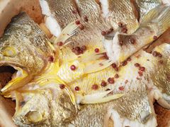 -1937青岛老味道·海肠捞饭·青岛菜(大鲍岛栈桥店)