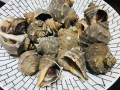 -渔民船说·北塘海鲜·天津菜·海肠捞饭(北塘古镇店)