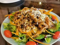 日式照烧鸡肉沙拉-萨尔瓦多Salvador's