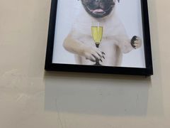 -多卡布奇宠物生活馆(上林世家店)