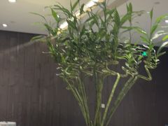 -红棉中餐厅·广州海航威斯汀酒店