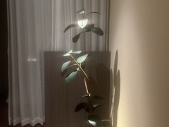 -木兰逸•泰式按摩•头疗•SPA(车公庙店)