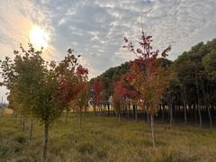 -嘉北郊野公园