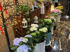-新木器时代餐厅(太湖新天地店)