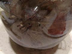 -京鼎香精品火锅(裕城花园店)