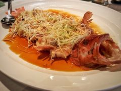 -三号黄浦会Canton Table