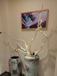 -盘子女人坊古装写真摄影(天津总店)