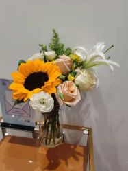 -YESIDO椰岛造型烫发染发