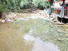-虾王农家乐(鼎湖店)