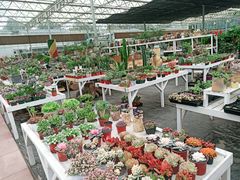 -三圣花乡旅游区