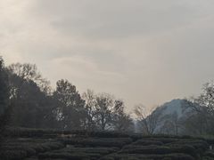 -南宋胡记(杭州灵隐寺店)