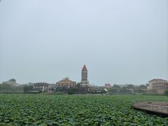 -日照海滨国家森林公园