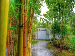 -墨宴(西洋湖店)
