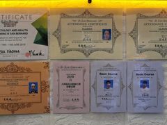 -喵汪宠物生活馆(涞坊路店)