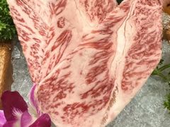 -极炙牛道·禾牛道(格力广场店)