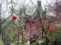 -祝家花園(伯渎港店)
