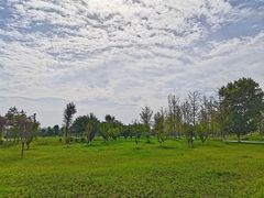 -汉长安城未央宫国家考古遗址公园