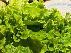生菜-炼火烤肉店
