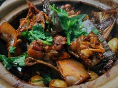 啫啫甲鱼煲-金龙·打边炉(南京西路店)