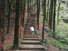 -广州市帽峰山景区