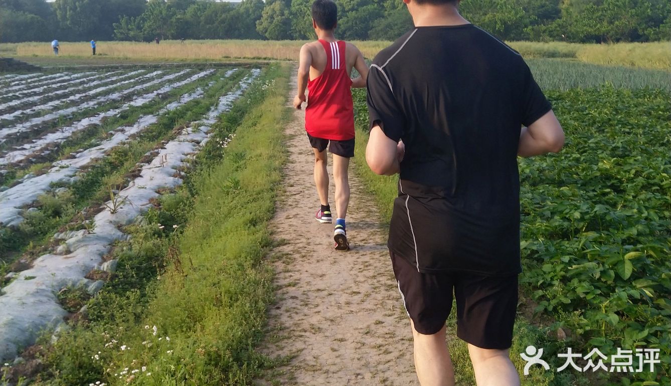 辣椒，还有刚开敗的油菜花。过来