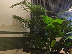 -盐集·料理食堂(江北活力源店)