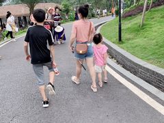 -枫香湖儿童公园