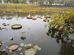 -北京市车辆管理所京海分所