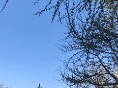 -北京协和医院(东单院区)