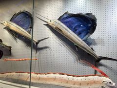 -抱抱地球咖啡馆(国家海洋博物馆店)