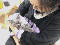 -藏猫猫咖啡主题馆(中央大道店)