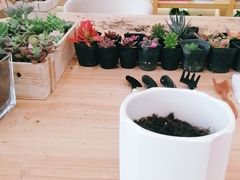 -南京汤山美东雷克萨斯汽车销售服务有限公司