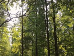 -艾溪湖湿地公园