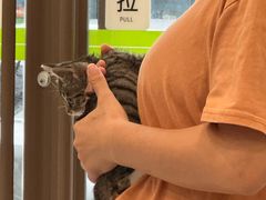-瑞鹏宠物医院·骨科·猫科·内科(第一中心)