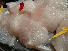 金沙江龙鱼-老牌坊云南鱼豆花火锅(嵩山店)