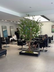 -付军剪艺JF ProSalon