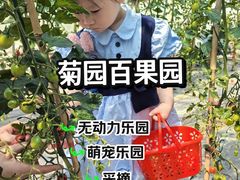 -菊园百果园