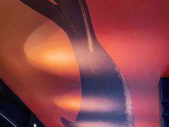 -里岛烤鱼(东港凯虹广场店)