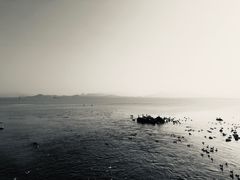 -深圳湾公园(南山区)