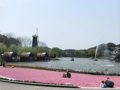 -上海鲜花港