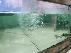 -楚鱼王·河鲜·湖北菜(华农店)