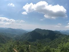 -大岭沟猕猴桃谷风景区
