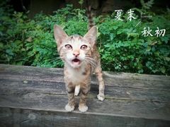 -铁路文化公园