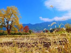 -塔川景区
