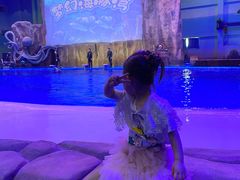 -华夏文旅海洋公园