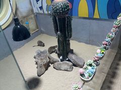 -海合安青岛极地海洋公园