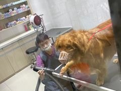 -宠颐生动物医院·小陆分院
